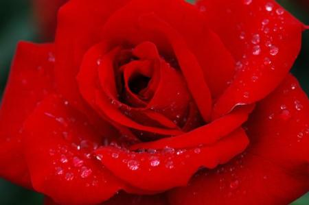 le rouge !!!!!!!!!!!!!!!!!j'aime le rouge